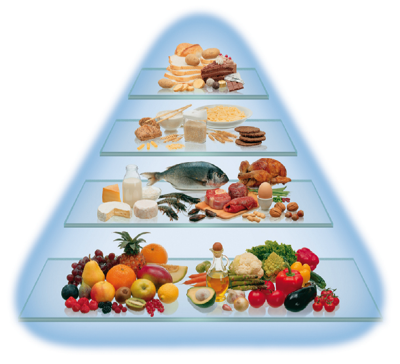 LOGI-Pyramide Wenig Süsses Getreide, Getreideprodukte, Milchprodukte, Fisch, Fleisch, Geflügel, Eier Frisches Obst, Gemüse, Salate