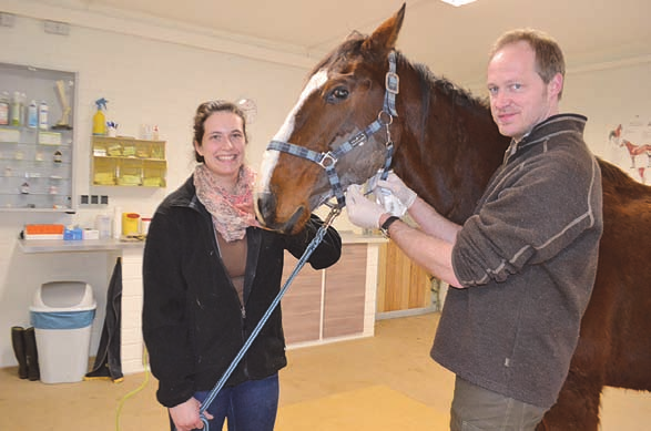 16 5. März 2014 Anzeige Kranke Pferde und Kleintiere in den besten Händen Tierärzte Julia und Dr. Axel Puncken haben ihre Praxis in Passade eingeweiht Passade (ast).