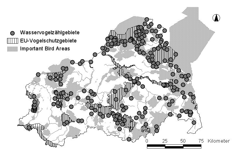 Wasservogelzählungen in Mecklenburg-Vorpommern, Saison 2004/2005 5 3 Material und Methode 3.