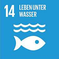 Ziel 14: Ozeane, Meere und Meeresressourcen im Sinne nachhaltiger Entwicklung erhalten und nachhaltig nutzen Verschmutzung und Übernutzung der Ozeane bereiten zunehmend Probleme, etwa die akute