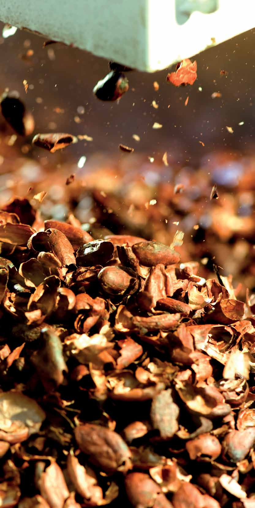 Kakao-Kurs Fortgeschrittene (Freiberg, Deutschland). Dieser Kurs baut auf dem Basiskurs auf und wendet sich an Produktentwickler und Produktionsmitarbeiter mit mehrjähriger Arbeitserfahrung.