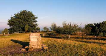 Zweitälerland und Gipfelglück Undeloh Niederhaverbeck (14 km) Gleich hinter Undeloh beginnt die Heide. Der Heidschnuckenweg führt ins Radenbachtal.