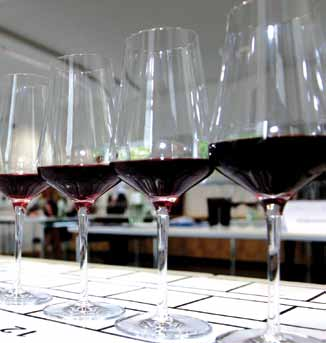 Christoph Dirksen Selbständiger Weinhändler und Redakteur des Gault Millau Sebastian Bordthäuser Sommelier er Weinpreis Ahrwein des Jahres zeichnet sich durch qualifizierte Weinjuroren aus.