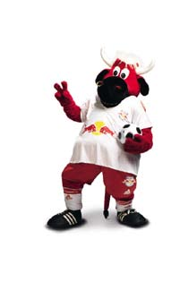 10 KOMMENTARE KOMMENTARE 11 Janko muss bleiben! KAINRATHS KICK NIKOLO Wir haben Red Bull Salzburg-Fans nach ihren WÜNSCHEN FÜR 2009 gefragt.