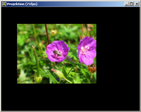 Umsetzung von Beispiel 1 (mit dem Zoomobjekt) setzen 1. Zoomobjekt mit ZW=100 % setzen 2. Zoomobjekt mit ZW=200 % ergibt Kamerafahrt vom Originalbild bis ins Blütendetail (Bildstandzeit evtl.