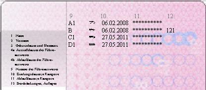 2. Kategorie D1 (neurechtlich) Personen, welche das Gesuch um Erteilung eines Lernfahrausweises für die Kategorie B ab dem 01.04.2003 eingereicht haben, können nur Motorfahrzeuge der Kategorie B (max.