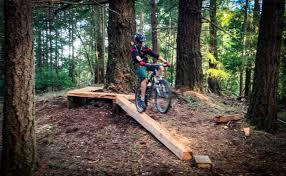 Mountainbiking in der Kohleregion Ibbenbüren Szenario Mountainbiking: Die DIMB zertifiziert Premium-Biketrails in drei Kategorien Rundstrecke von mind.