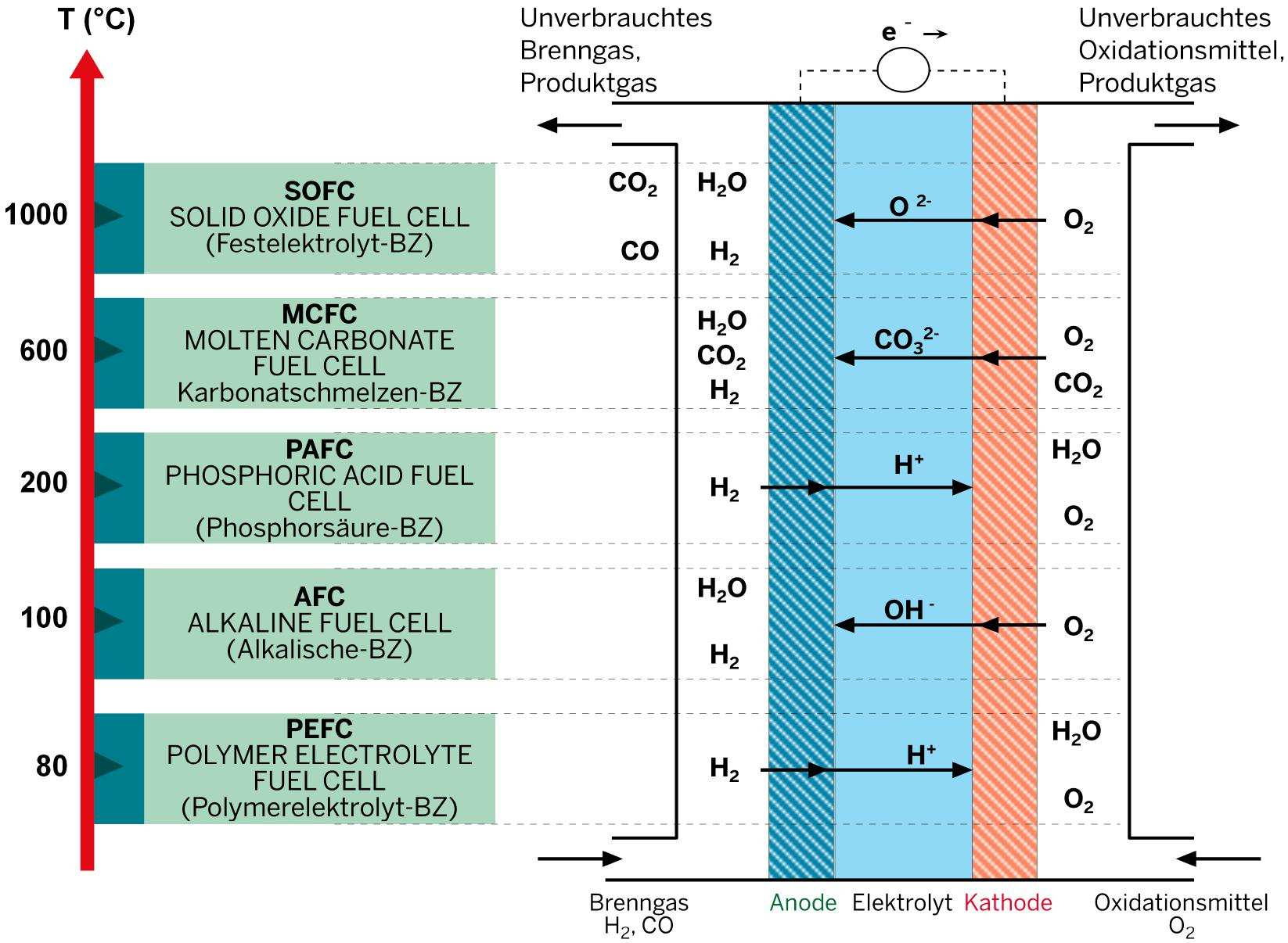 5. Verbesserung der Gasnutzung 110 Brennstoffzellen Eine Brennstoffzelle (Fuel Cell, FC) wandelt die chemische Reaktionsenergie eines Brennstoffes und eines Oxidationsmittels mit hohem Wirkungsgrad