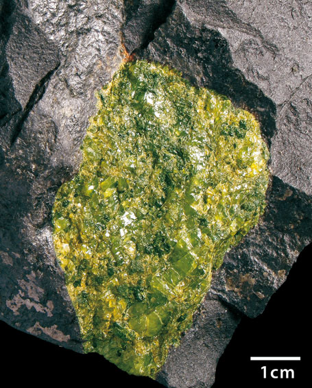 38 2 Minerale Abb. 2.6. Pyroxen (basaltischer Augit), großer Einsprengling im Basalt; daneben eine zweite, wesentlich kleinere Einsprenglings-Generation. Böhmisches Mittelgebirge, Tschechien.