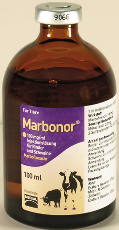GEBRAUCHSINFORMATION Marbonor 100 mg/ml Injektionslösung für Rinder und Schweine 1.