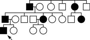 34 Vererbungsmuster in ihren Familien-Stammbäumen zeigten. Sporadische Mutationen gab es nicht und die Penetranz der nachgewiesenen Mutationen war nach dem 25.Lebensjahr hoch.