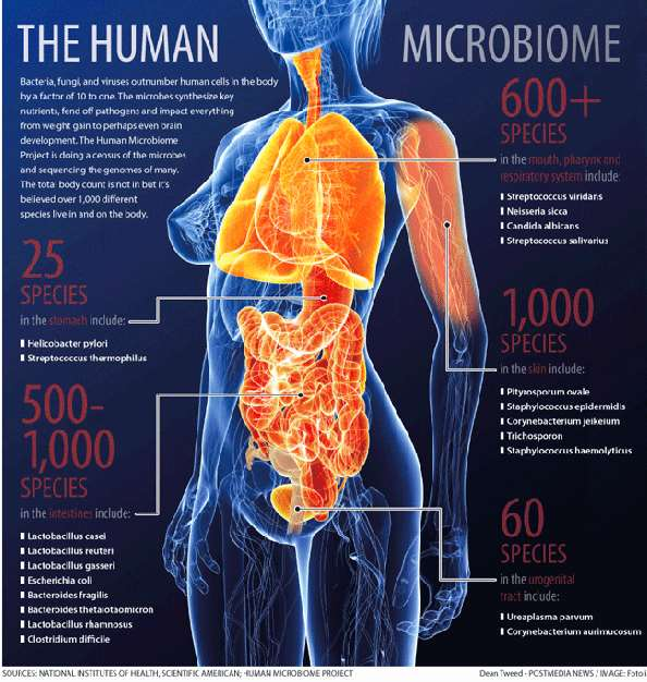 Mikrobiom: Gesamtheit aller den Menschen