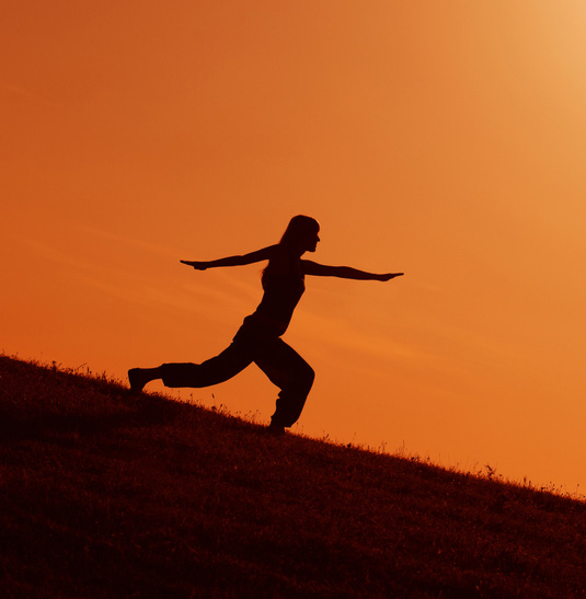 YOGA FÜR BOULDERER Ausgleich nach dem Training! 27 KURSE 2) YOGA MIT ELMO Beim Ausgleichstraining mit Yoga verbessert ihr eurer Körpergefühl.