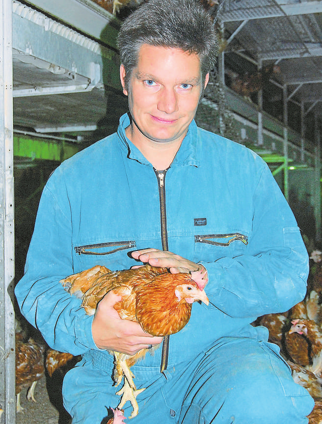 Rezept für Harmonie im Stall Henrik Althues aus Rosendahl sammelt seit drei Jahren Erfahrungen mit nicht schnabelgestutzten Hennen in Bodenhaltung.