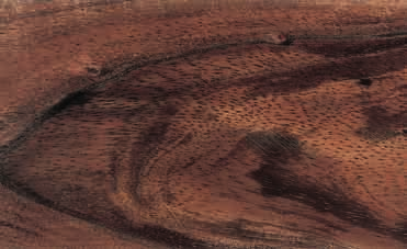 KOA Acacia koa (Leguminosae) Andere Bezeichnungen: Black koa, Curly koa, Hawaiian mahogany, Koaia, Koa-ka Herkunft Inseln der Hawaii-Gruppe Höhe: 24 30 m Stammdurchmesser: 0,9 1,2m ;