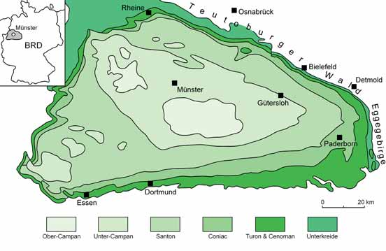 1 Einleitung Der Osning-Sandstein ist auf einer Erstreckung von etwa 145 Kilometern entlang des Teutoburger Waldes und des Eggegebirges entwickelt.