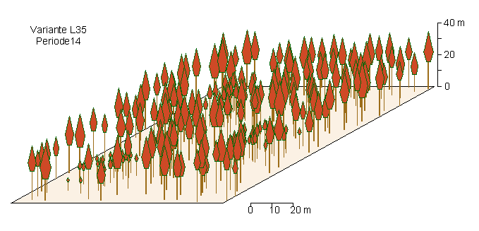 Ende des Simulationslaufes (14 Perioden) N = 200/ha, V = 340 Vfm/ha) 60 50 40 N/ha 30