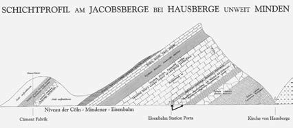 Der Bericht über die jurassische Weserkette mit dem Profil vom Jakobsberg kam erst 1857 in Druck, als ROEMER schon zum ordentlichen Professor der Mineralogie und Direktor des Mineralogischen Museums