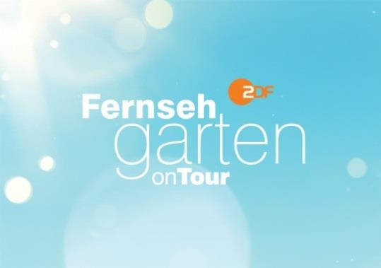 Die Rezepte von Mario Kotaska für den Fernsehgarten on Tour auf Teneriffa vom 19.