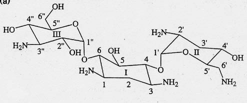 Tobramyzin RNA aptamer Die Struktur eines RNA Aptameren, das Tobramyzin sehr fest bindet: K D = 9 nm L. Jiang, A. K. Suri, R.