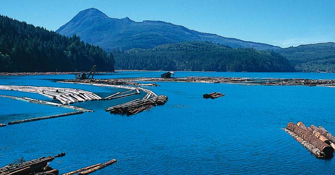 Westkanada vor allem British Columbia gehört zu den führenden Exporteuren von Holz Als Erstes gilt es, sich an die Dimensionen Kanadas zu gewöhnen.