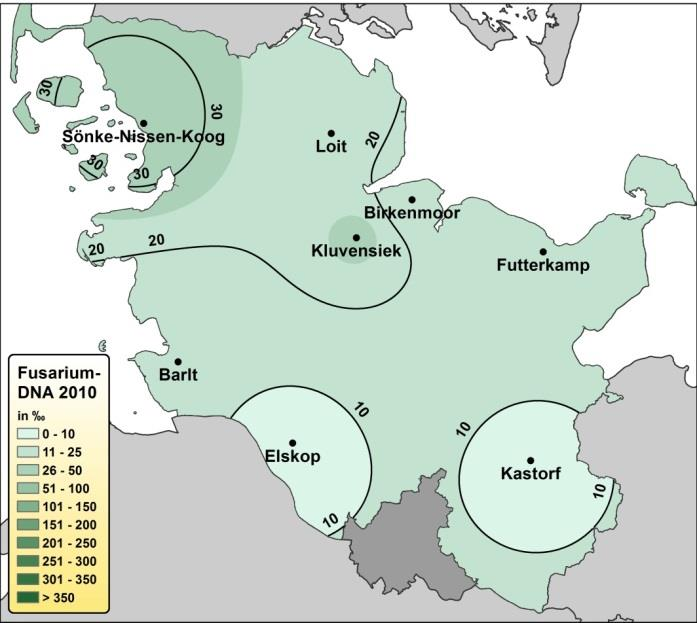 49: Zusammenhang zwischen regionalen Niederschlagsmengen (mm) während der Weizenblüte (oben links) und der Befallsstärke der Fusarium-Arten F.