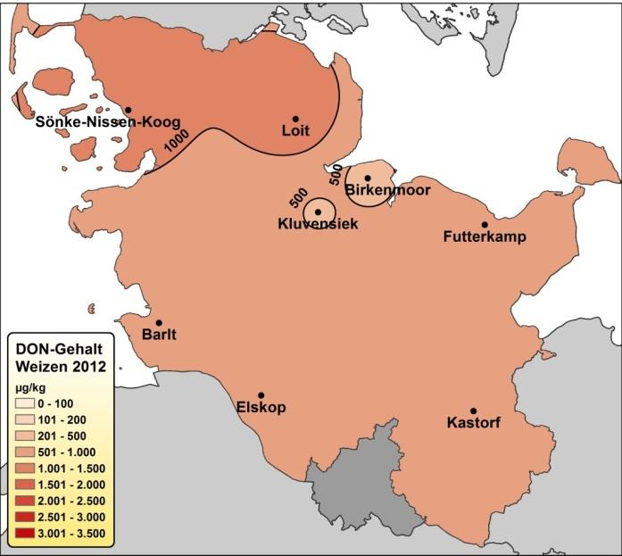 graminearum sowie der DON-Belastung waren in der Region Birkenmoor/Kluvensiek ebenso die landesweit geringsten ZEA-Werte mit < 5 µg/kg festzustellen (Abb. 51, unten rechts).