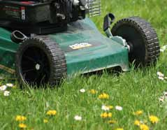 12 Termine und Informationen Lärm am Wochenende Rasenmähen an Sonn- und Feiertagen Im Sommer gibt es immer wieder Beschwerden über Lärmbelästigung durch Rasenmähen an Sonn- und Feiertagen.