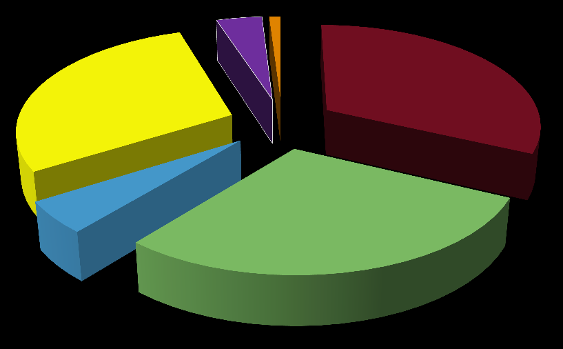 Stärke Anwendungsgebiete - 2013 29% 4% 1% 32% Süßwaren und