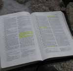 Bibel-Studier-Freizeit Diese Freizeit bietet eine Woche Ruhe und Zeit, intensiver über Gottes Wort nachzudenken.
