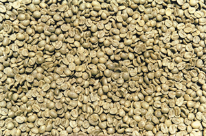 9) Bewertung Nach dem Entfernen der Pergamenthülle in dafür vorgesehenen Mühlen wird der Kaffee nach Buchstaben bewertet.
