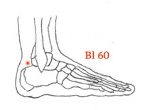 Kniescheibe legen, der Punkt liegt an der Spitze des Mittelfingers außen neben dem Schienbein Bl 57: Stelle unter dem Muskelbauch des Wadenmuskels (M.