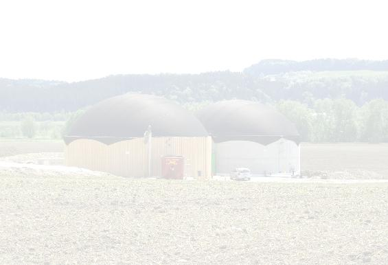 EEG 2012 Bleibt die Biogaserzeugung eine wirtschaftliche