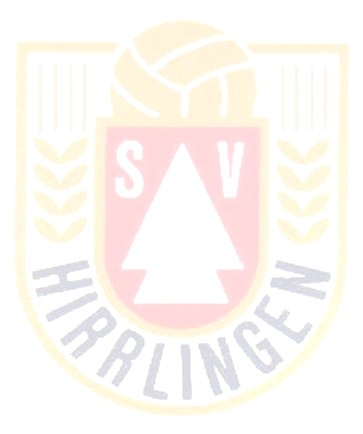 Jugendkonzept Sportverein Hirrlingen 1930 e.v. I.