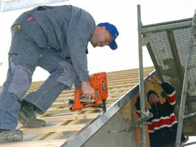 DACHPAPPNAGLER HAFTENNAGLER IM45 CW Dachpappe Dachbahnen Bitumenschindeln IM200/32 HAFTE Haftenbefestigungen für
