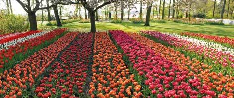 Rundreise Round Trip Gärten von Annevoie OPT Keukenhof 5 Tage ab 229 Code 17T-3081 Gartenhighlights in Holland und Belgien Eine Rundreise zu Schlössern und Gärten, dem Keukenhof und den Floralien bei