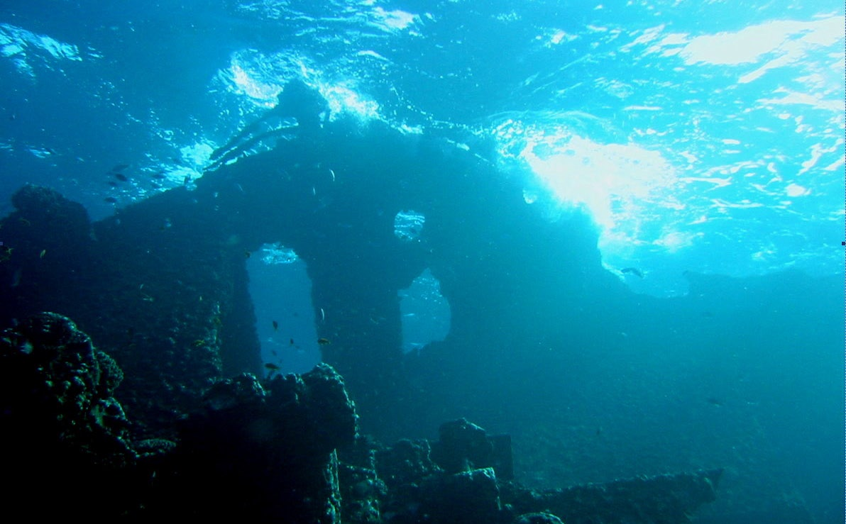 An den Riffen oft anzutreffen: Karrettchildkröten Hammerhaie am Jackson Reef in einer Tiefe um 20 Meter. Der Bewuchs mit Korallen erfreut beim Blick durch die Tauchbrille oder Kameralinse.