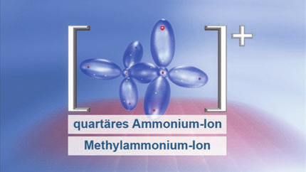 das Methylammonium-Ion bildet. Abbildung 11: Methylammonium-Ion Die basische Wirkung reiner Amine hängt ab von der Anzahl der Alkylreste am Stickstoff.