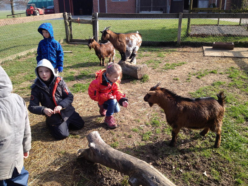 Projektwoche Bauernhof Gespannt auf die bevorstehenden Erlebnisse versammelten sich zwanzig Kinder vom Kindergarten bis zur zweiten Klasse im Schulzimmer der Erstklässler.