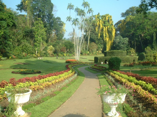 7.Tag: Die Königlichen Gärten von Kandy - Kulturtag Wir lassen das Knuckels Gebirge hinter uns und machen uns heute auf nach Kandy, Sri Lankas Berghauptstadt, wo wir den Matale Spice Garten und den