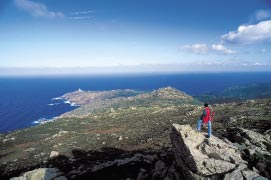 12 Beeindruckender Blick von der Insel Asinara Gruppe von Eseln auf Asinara Fotos Lino Cianciotto Fotos Lino Cianciotto Asinara ist eine der größten Inseln Sardiniens.