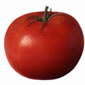 o tomate die