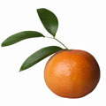 Birne a maçã der Apfel a laranja die Orange a