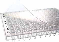 09 07 8-well PCR-Platten, weiß, für die qpcr PP, weiß. 0,0 ml-gefäße. BRAND Beschreibung mit ganzem Rahmen, für LightCycler 80 (Roche ) 9,0.