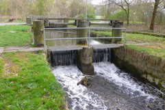Ökologische Aspekte: Wasserqualität Gewässerstruktur Trittsteinbiotope / Ökokorridor Eigenentwicklung Ökonomische