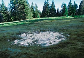 Die Höhle als Rohstofflieferant Es wurden schon immer Bergwerke in den Karst getrieben, für die Förderung von Kalkblöcken, Kalkstaub oder anderen Mineralien und Erzen wie z.b. Eisen.