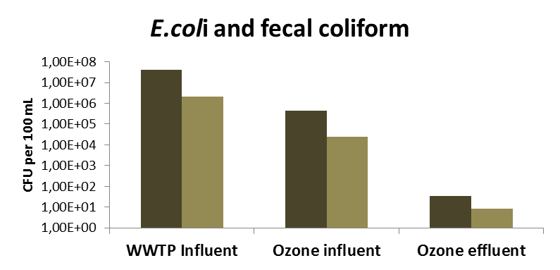 Einfluss Ozonbehandlung auf bakt. Abwasserpopulation Kultivierungsexperimente Rohabwasser Rohabwasser E. coli und Coliforme Zulauf Ozonsystem E.