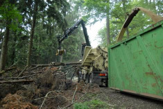 der Rückegasse zur Bodenschonung Belassen von Totholz keine intensivierte Nutzung der Wälder