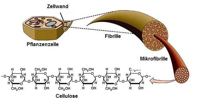 Carboxymethylcellulose (CMC) Grund- bzw. Struktursubstanz ist pflanzliche Cellulose (Zellstoff).