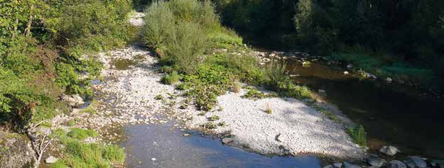 Fließgewässer Naturnaher Flussabschnitt der Unteren Argen Fließgewässer Fließgewässer sind vielfältige Lebensräume, die im Naturhaushalt eine wichtige Vernetzungsfunktion übernehmen.